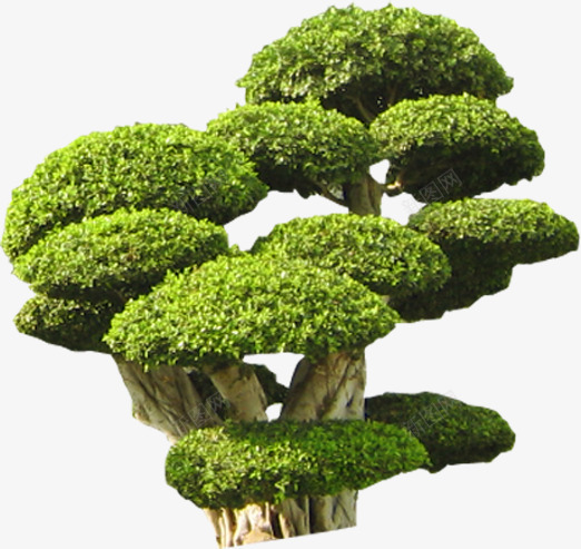 创意绿色大树创意元素png免抠素材_新图网 https://ixintu.com 元素 创意 大树 绿色