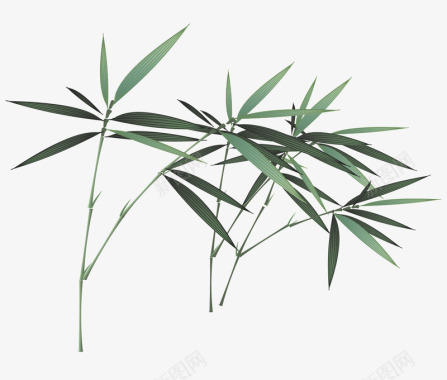 卡通竹叶竹子图标图标