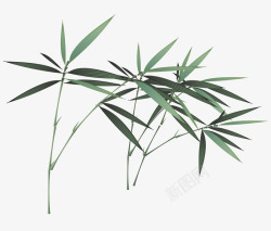 竹叶图标卡通竹叶竹子图标高清图片