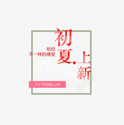 初夏上新素材