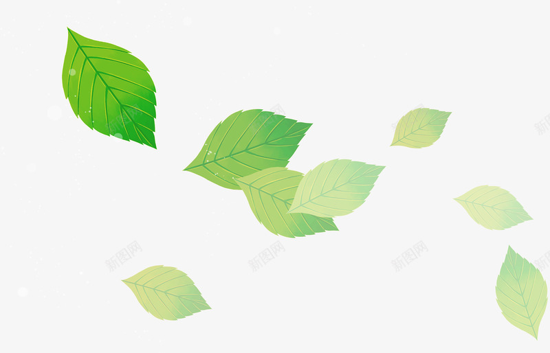 漂浮清新绿色夏季透明树叶png免抠素材_新图网 https://ixintu.com 夏季 树叶 清新 漂浮 绿色 透明
