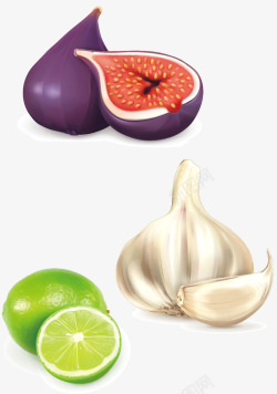 矢量无花果插图水果蔬菜高清图片