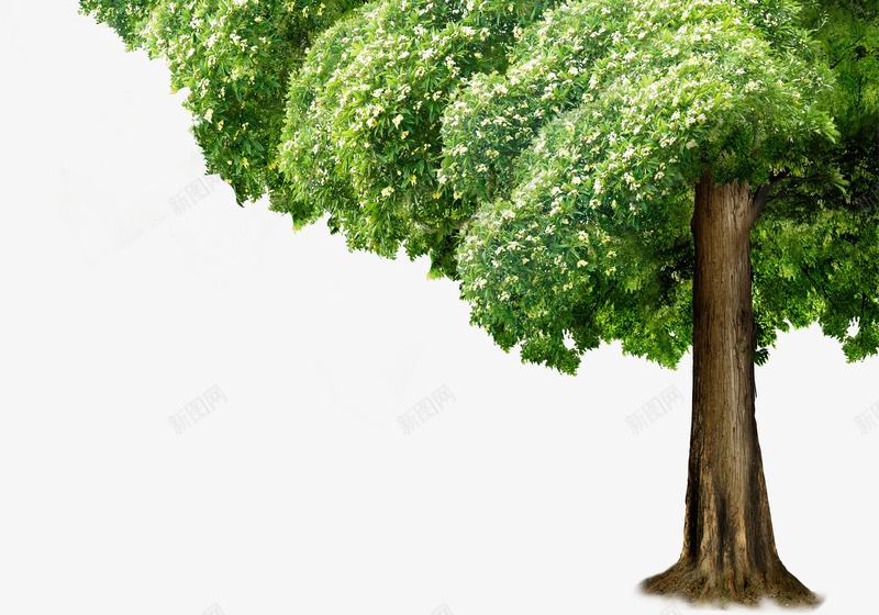 绿树景观大树清新png免抠素材_新图网 https://ixintu.com 大树 景观 清新 绿树