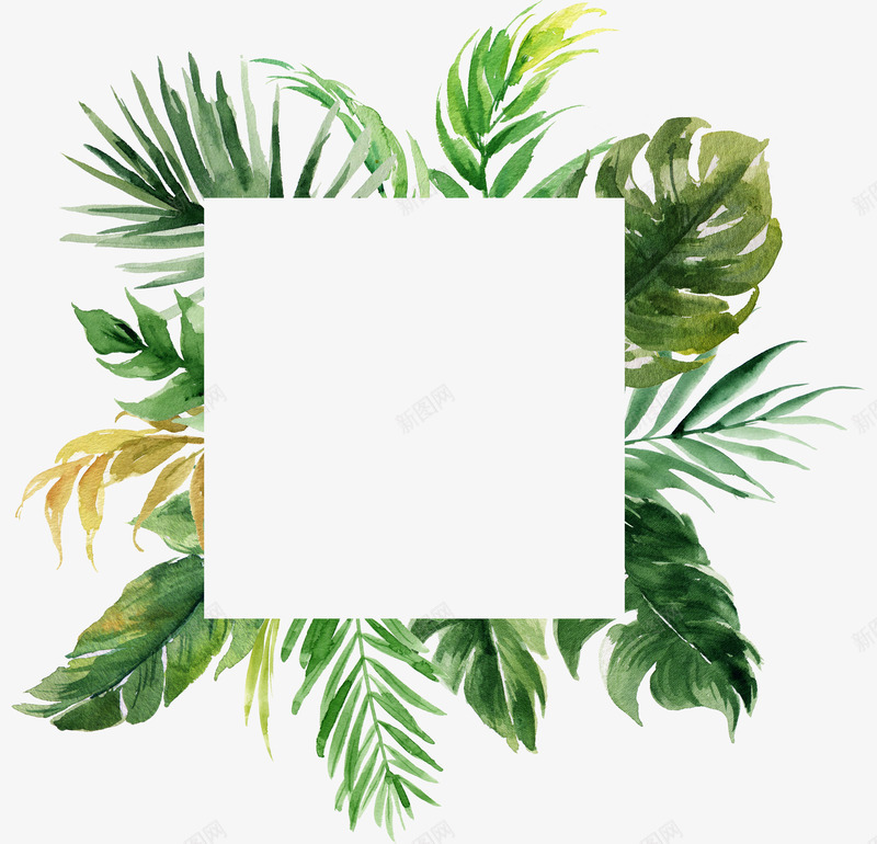 方形的绿叶植物手绘png免抠素材_新图网 https://ixintu.com 卡通 叶子 小清新 手绘 方形 植物 水彩 自然 边框