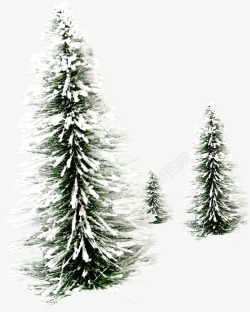 冬季唯美树木雪景素材