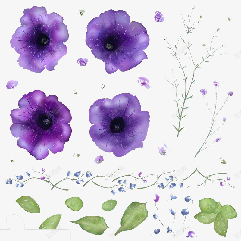 绽放的紫罗兰png免抠素材_新图网 https://ixintu.com 手绘 手绘紫罗兰 植物 紫罗兰 紫色 绿色 美丽 花朵 芳香