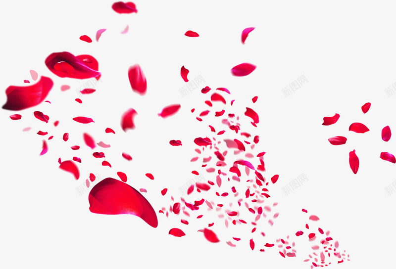 红色花朵唯美场景漂浮花瓣png免抠素材_新图网 https://ixintu.com 场景 漂浮 红色 花朵 花瓣