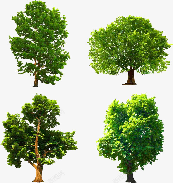 四颗大树矢量图eps免抠素材_新图网 https://ixintu.com 植物 绿色 花丛 矢量图