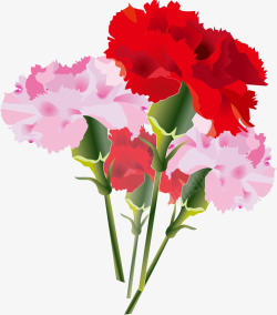 层次花朵红色美丽康乃馨花束高清图片