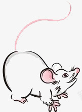 卡通老鼠png免抠素材_新图网 https://ixintu.com 动物 十二生肖 卡通 可爱 简笔鼠 老鼠
