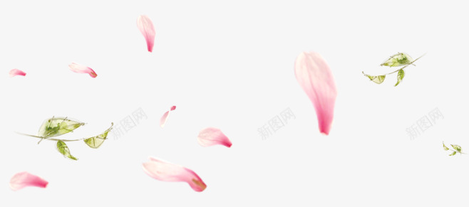 漂浮的梅花png免抠素材_新图网 https://ixintu.com 树叶 漂浮 红色 花瓣