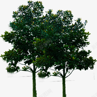 摄影合成效果绿色大树树木png免抠素材_新图网 https://ixintu.com 合成 大树 摄影 效果 树木 绿色
