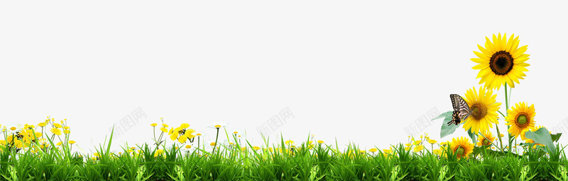 背景装饰鲜花psd免抠素材_新图网 https://ixintu.com 小草 植物 绿色 背景装饰 鲜花 黄色