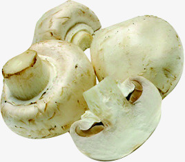 蘑菇蔬菜水果png免抠素材_新图网 https://ixintu.com 图片 水果 蔬菜 蘑菇
