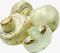 蘑菇蔬菜水果素材