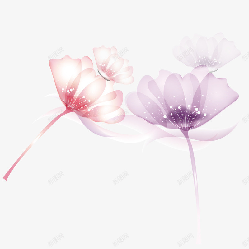 彩绘花朵png免抠素材_新图网 https://ixintu.com 手绘 桔梗 漂浮 粉红色的 紫色的 花朵 装饰
