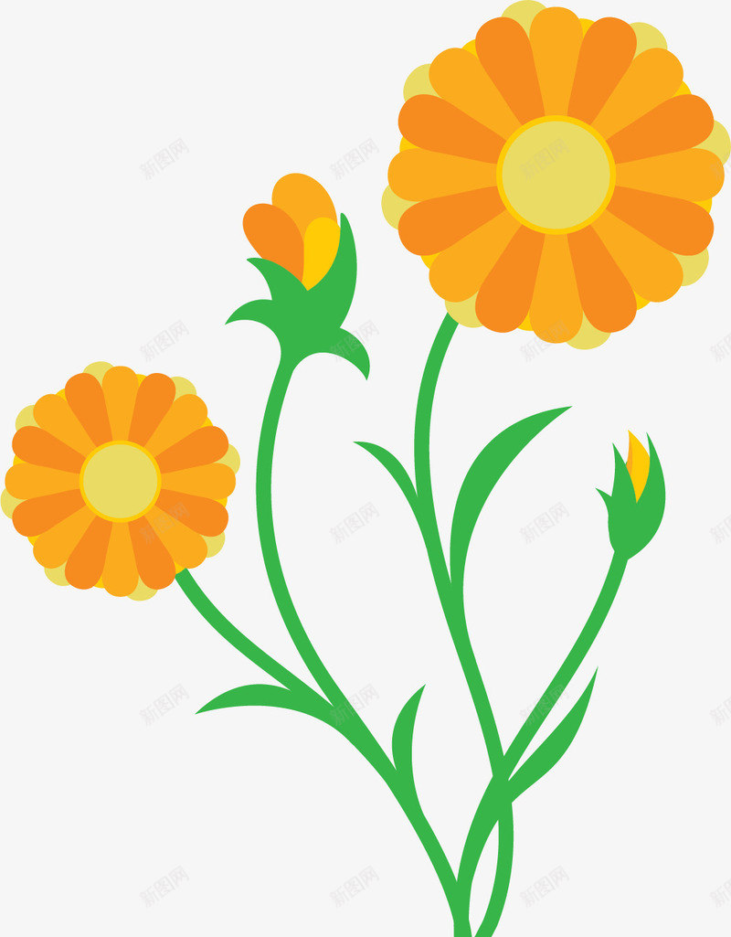 黄色圆形金盏花png免抠素材_新图网 https://ixintu.com 圆形 圆形金盏花 美丽的金盏花 花卉 花朵 黄色花朵
