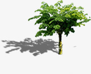 创意绿色大树摄影环境渲染png免抠素材_新图网 https://ixintu.com 创意 大树 摄影 渲染 环境 绿色