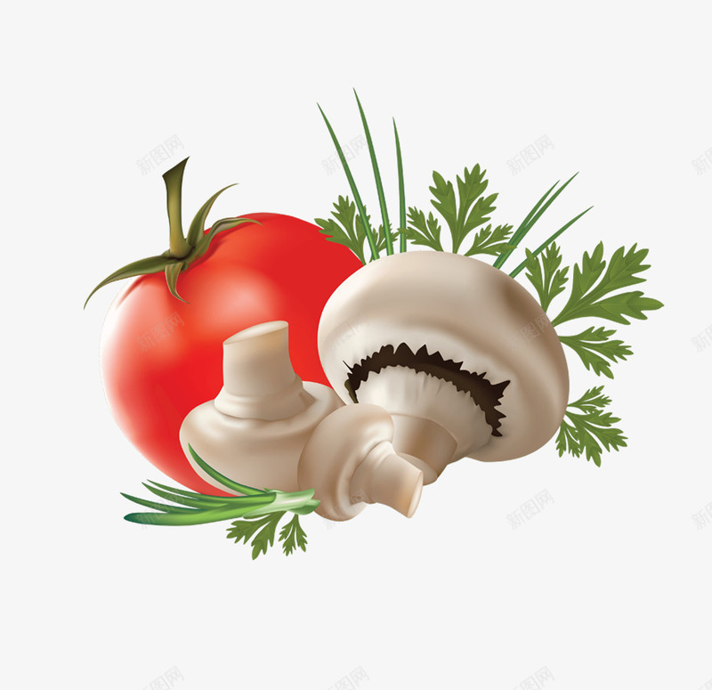 香菇与番茄图案png免抠素材_新图网 https://ixintu.com 红色 绿色 美味 菌菇 营养 蔬菜 食物免费PNG素材
