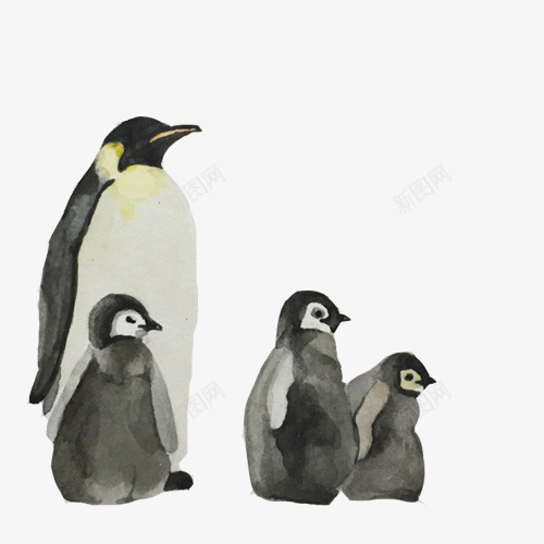 南极企鹅一家片png免抠素材_新图网 https://ixintu.com 一家子 企鹅 企鹅幼崽 南极动物 白肚皮 黑皮毛