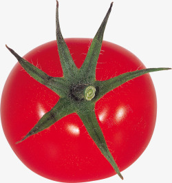 鲜红西红柿鲜红西红柿圣女果番茄高清图片