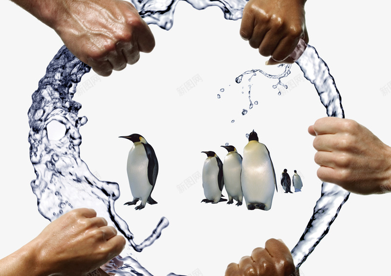 创意图案png免抠素材_新图网 https://ixintu.com 人手 企鹅 创意 图案 拳头 水圈子