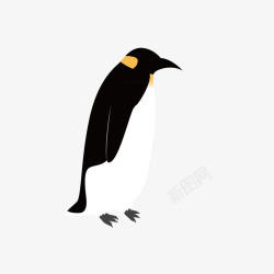 黑白企鹅彩矢量图素材