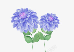 手绘美丽紫色花朵素材