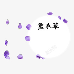 紫色描边字体薰衣草花瓣高清图片