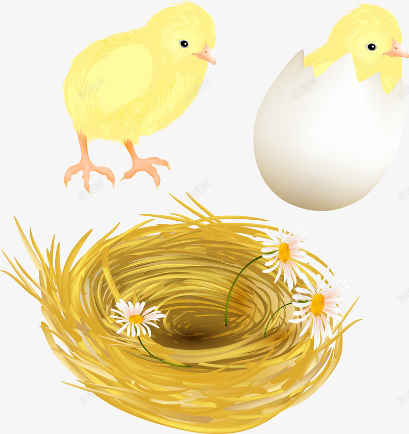 破壳的小鸡png免抠素材_新图网 https://ixintu.com 兔子 创意 卡通 复活节 彩蛋 手绘 花篮 金蛋