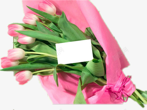 粉红色的郁金香png免抠素材_新图网 https://ixintu.com 白色卡片 绿叶 美丽的花 花朵