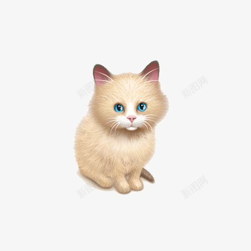 写实可爱猫咪psd免抠素材_新图网 https://ixintu.com 动物 小猫 波斯猫 波斯猫插画 猫咪 黄色波斯猫