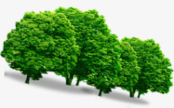 绿树清新风光景色素材