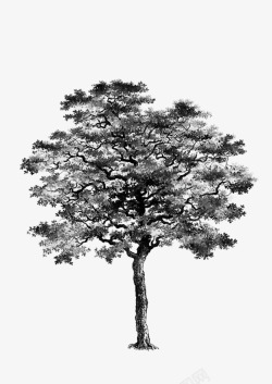 树大树黑白素材
