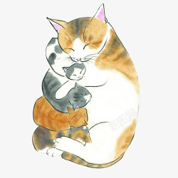 猫咪妈妈抱小猫咪片素材