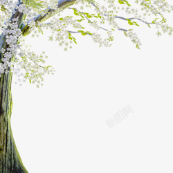 白色梦幻鲜花大树装饰图案素材