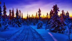 冬日美景蓝色唯美素材