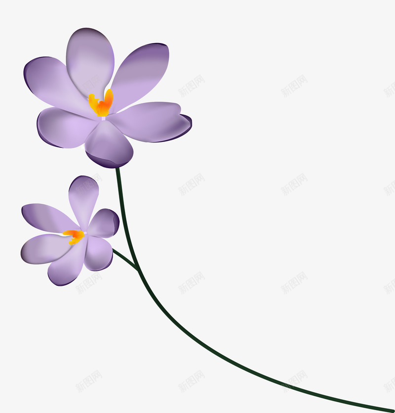 两朵美丽的紫色花朵png免抠素材_新图网 https://ixintu.com 小紫花 小野花 矢量png 精美的花朵 紫色小花 紫色野花