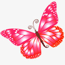 蝴蝶粉红瑜伽png免抠素材_新图网 https://ixintu.com butterfly pink 粉红 蝴蝶