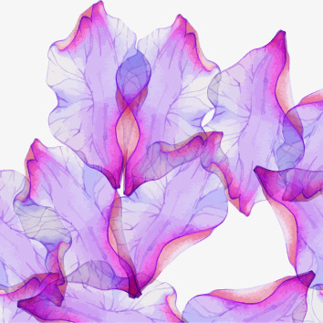 漂浮紫色水彩花卉矢量图eps免抠素材_新图网 https://ixintu.com 水彩花卉 漂浮 矢量图