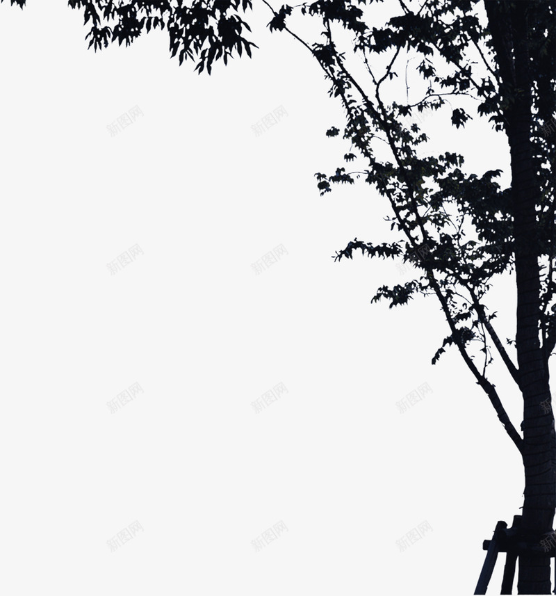创意合成摄影室外的大树png免抠素材_新图网 https://ixintu.com 创意 合成 大树 室外 摄影
