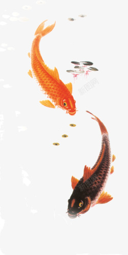 金色中国风荷塘鲤鱼素材