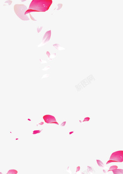 粉红花瓣飘落漂浮装饰素材