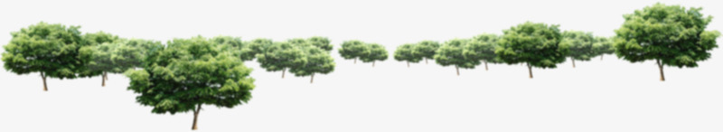 绿树景观植物大树园林png免抠素材_新图网 https://ixintu.com 园林 大树 景观 植物 绿树