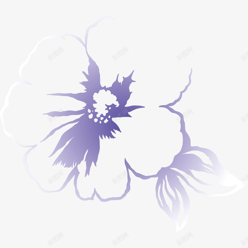 紫色的花瓣纹路png免抠素材_新图网 https://ixintu.com 紫色 紫色的花瓣纹路 纹路 花瓣