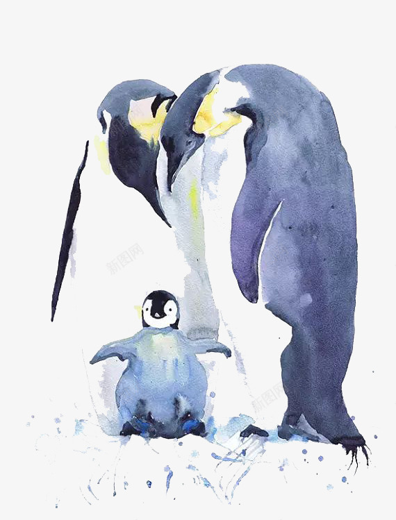 蓝色企鹅png免抠素材_新图网 https://ixintu.com 企鹅 动物 卡通 寒冷 彩色 手绘 水彩 蓝色 装饰
