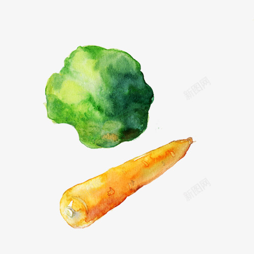 蔬菜手绘画片png免抠素材_新图网 https://ixintu.com 水彩画 维生素 胡萝卜 花菜 蔬菜