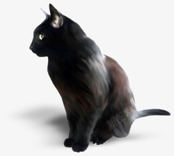 一只黑猫素材
