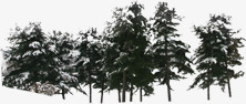 绿色大树冬日创意素材