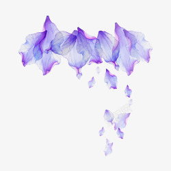漂浮紫色花瓣素材
